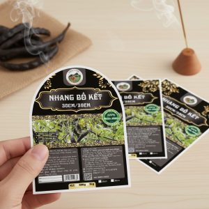 địa chỉ in decal giấy