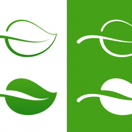 Lá cây PNG, Vector, PSD, Corel cực đẹp dowload miễn phí