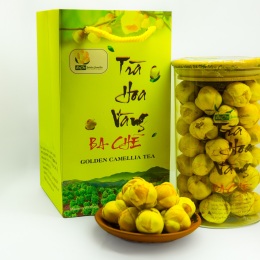 Thiết kế và in hộp giấy đựng trà hoa vàng chuyên nghiệp