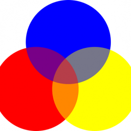 Tìm hiểu về các màu cơ bản và bảng màu cơ bản trong tiếng Việt