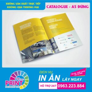 Dịch vụ in Brochure lấy gấp, lấy nhanh, in số lượng ít tại Hà Nội