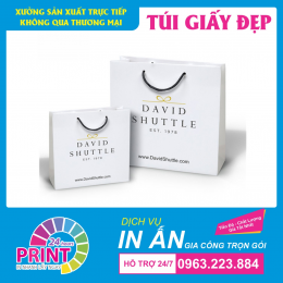 Mẫu in túi giấy quảng cáo đơn giản