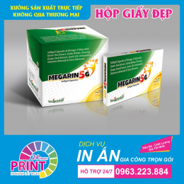 In vỏ hộp thuốc in bao bì ngành dược phẩm