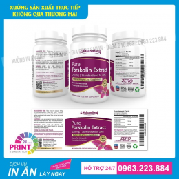 Nhận In Tem Nhãn Mác Decal Tại Tuyên Quang