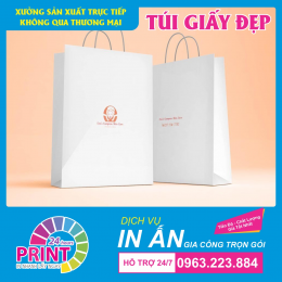 Dịch vụ in logo thương hiệu công ty lên túi giấy chất lượng