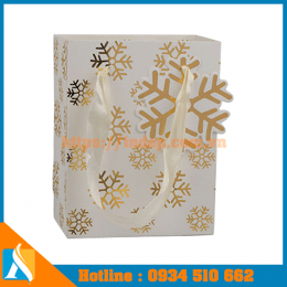 In túi giấy đựng quà - Xưởng sản xuất trực tiếp, không qua trung gian