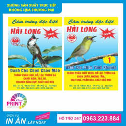 Nhận Sản Xuất Tem Nhãn Mác Uy Tín Tại Quảng Bình