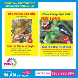 Dịch Vụ In Tem Giấy Decal Giá Rẻ Tại Hà Giang