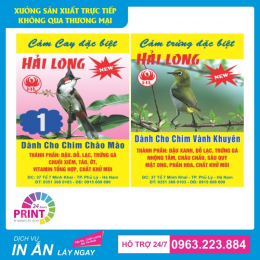 Địa Chỉ In Tem Nhãn Mác Decal Giá Rẻ, Hợp Lí Ở Đâu Tại Cao Bằng