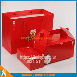 In túi đựng gà rán, in túi giấy đựng gà rán