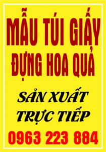 Những Mẫu Túi Giấy Đựng Hoa Quả Sáng Tạo Nhất