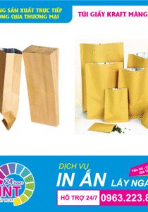 In túi giấy kraft màng nhôm đựng cá khô, bò khô "nhìn phát thèm ngay"