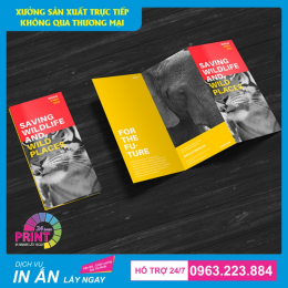Hướng dẫn thiết kế và đặt in ấn Brochure chuyên nghiệp với giá thành rẻ nhất
