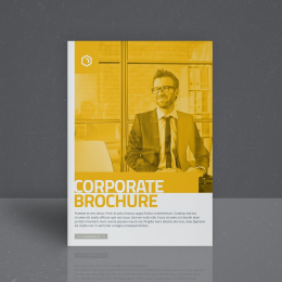 Các mẫu thiết kế brochure doanh nghiệp mà bạn nên biết