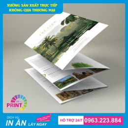 In ấn Các Tài Liệu Quảng Cáo : Tờ rơi, Brochure và Catalogue