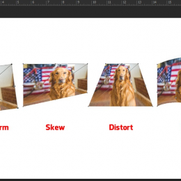 Các cách biến đổi kích cỡ layer trong photoshop