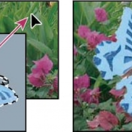 Các Bước Sao Chép Hình Ảnh Cực Dễ Trong Photoshop 2021