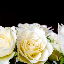 Mẫu Lời Cảm Ơn Sau Tang Lễ Chân Thành Nhất - Tải Miễn Phí