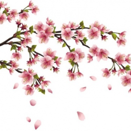 Vector Hoa Đào - Thiết Kế Đồ Họa Cho Ngày Tết Miễn Phí