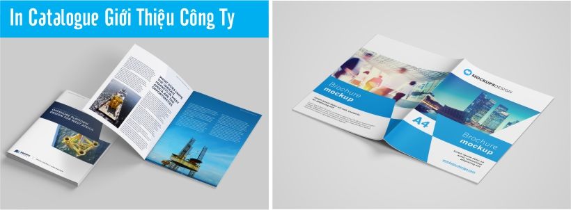 in catalogue trên máy in offset công nghệ cao