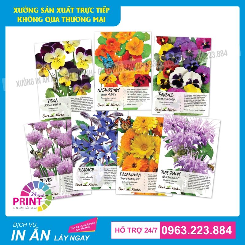 bao bì giấy đựng hạt giống các loại hoa
