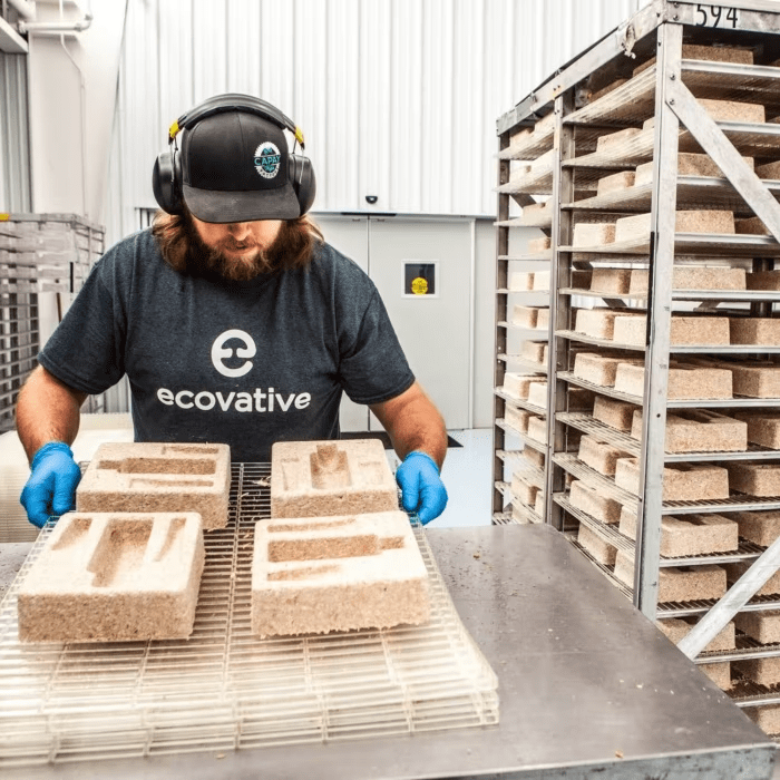 Bao bì nấm lắp ráp bao bì bền vững của họ