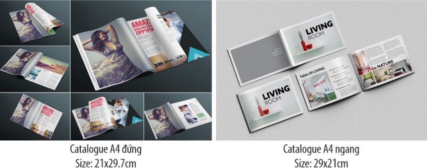 catalogue a4 đứng và A4 ngang