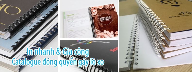 Catalogue đóng quyển gáy loxo