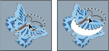 Hướng dẫn  cách copy hình ảnh trong photoshop