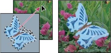 Kéo một lựa chọn vào một hình ảnh khác