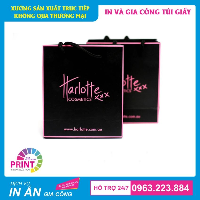 mẫu túi giấy đẹp cho thẩm mỹ viện