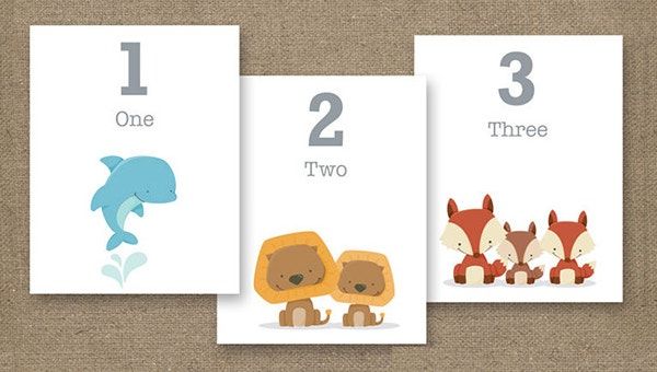 flashcard học tiếng anh