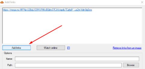 Sử dụng phần mềm MegaDownloader và IDM - Innhanmac