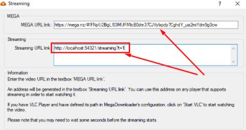 Sử dụng phần mềm MegaDownloader và IDM - Innhanmac
