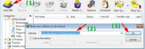 Sử dụng phần mềm MegaDownloader và IDM - Innhanmac