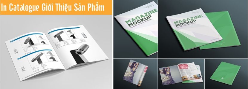 in Catalogue giới thiệu sản phẩm