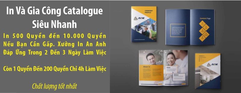 In catalogue lấy ngay trong ngày