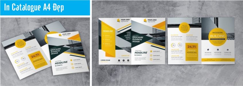 địa chỉ in Catalogue lấy gấp trong ngày