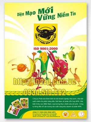 ở đâu in poster đẹp chất lượng