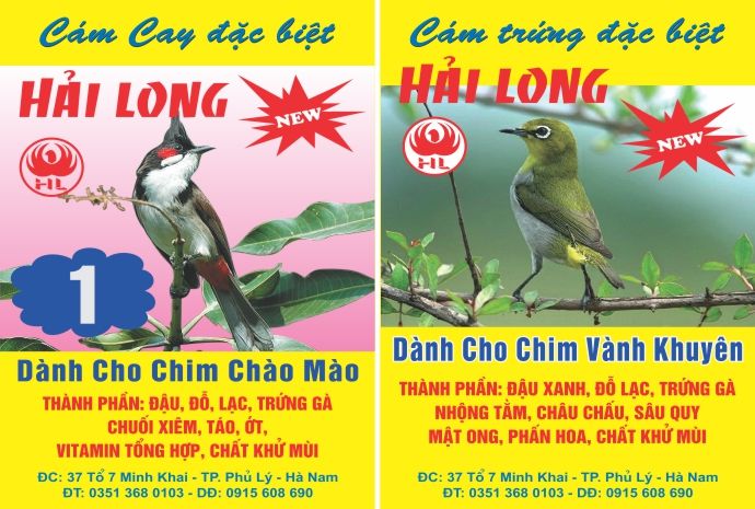 in tem mác cám chim