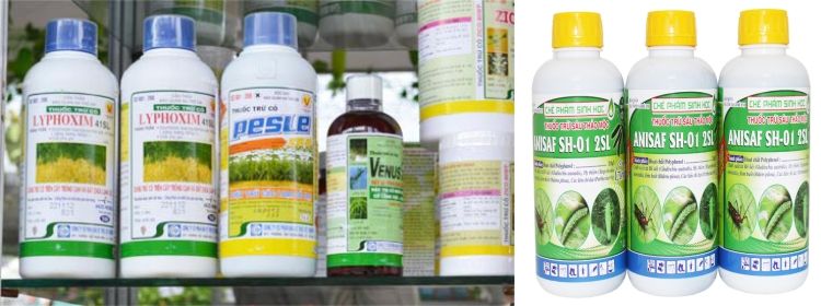 in tem nhãn dán chai thuốc trừ sâu