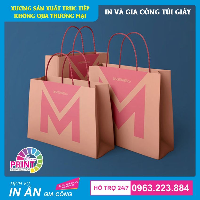 mẫu túi giấy cho cửa hàng quần áo