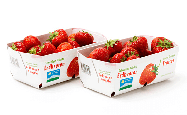 khay20cc3a1c20tc3b4ng20xenlulo20nguyc3aan20che1baa5t20cho20trc3a1i20cc3a2y20tc6b0c6a1i-img Khay các tông xenlulo nguyên chất cho trái cây tươi