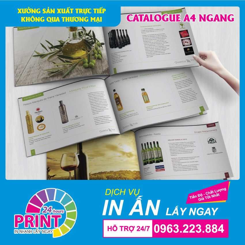 Kích thước in ấn và thiết kế Catalogue tại In An Anh