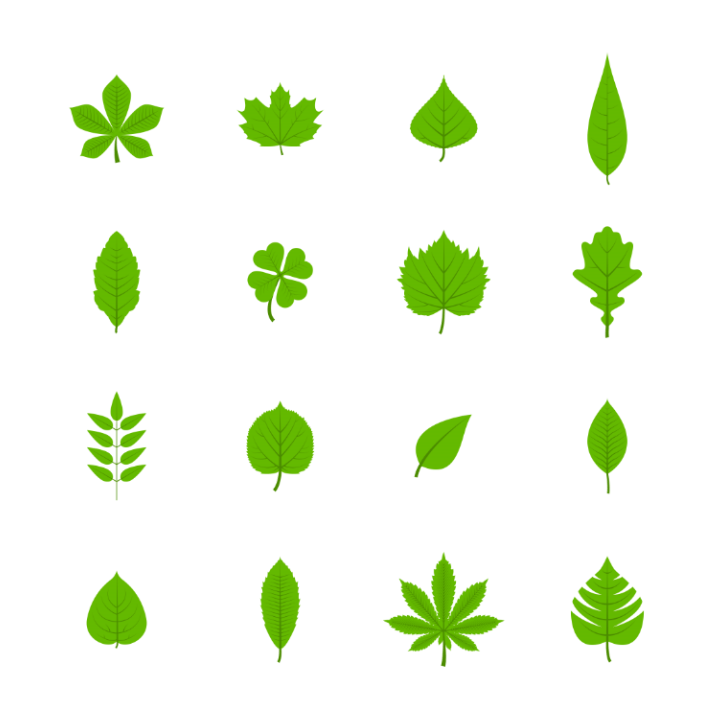 la-cay-png-vector-innhanmac-1-img Lá cây trong thiết kế logo - In Nhãn Mác