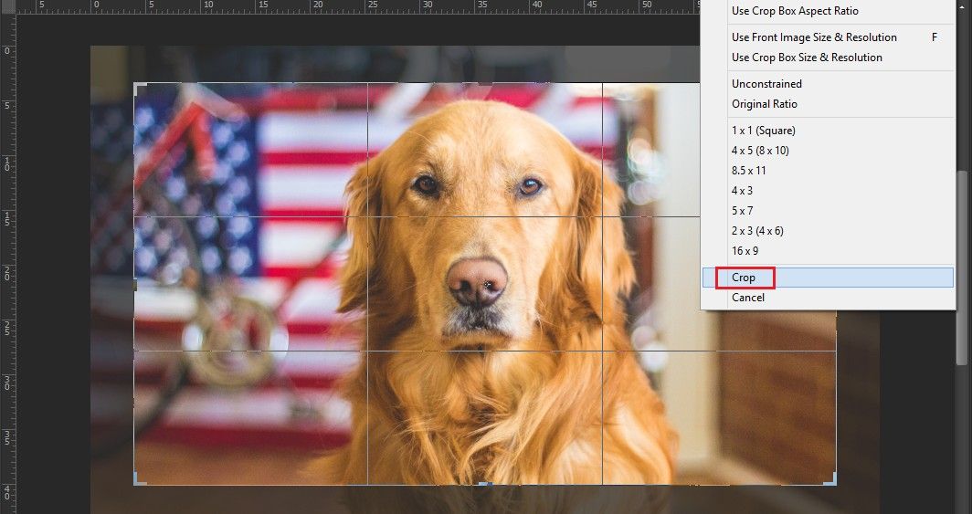 thay kích cớ layer