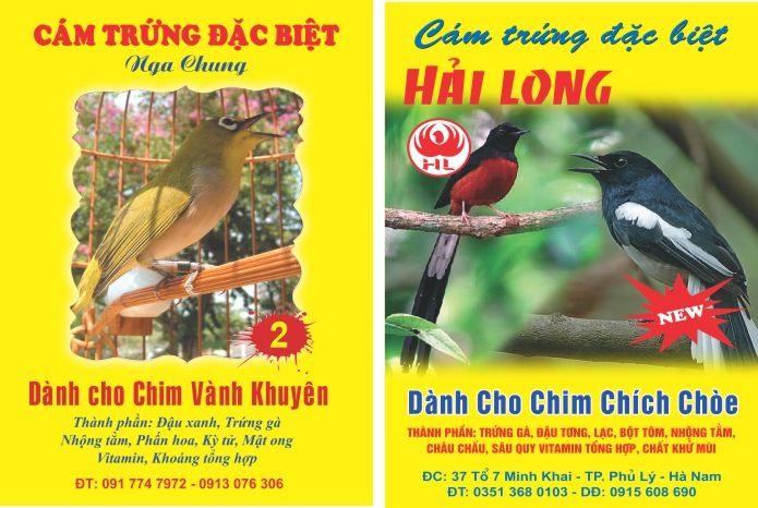 mẫu tem dán cám chim