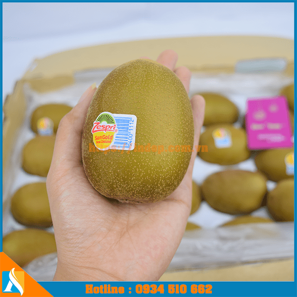 mau-tem-decal-dan-hoa-qua1-img mẫu tem decal dán hoa quả