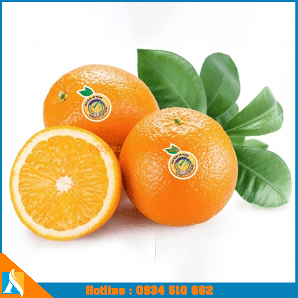 mau-tem-nhan-dan-hoa-qua3-img mẫu tem nhãn dán hoa quả