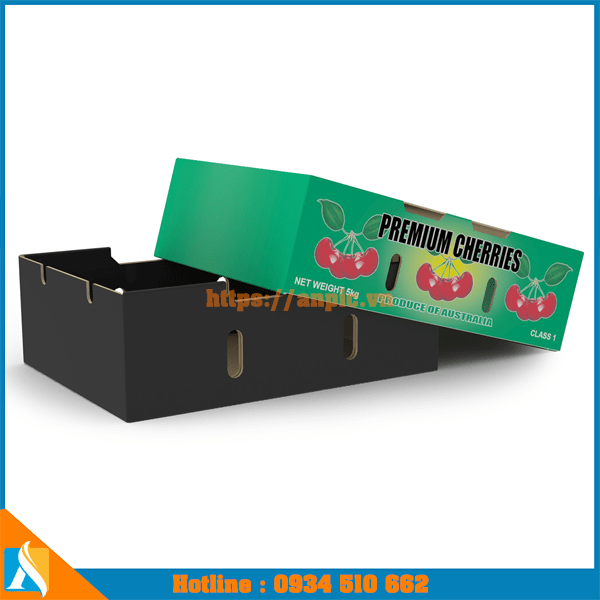 mẫu thùng carton đựng trái cây